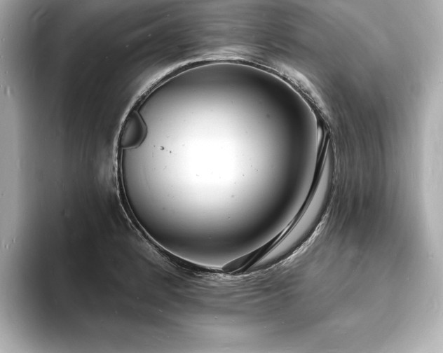 X0000093601184200710151215