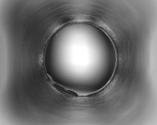 X0000093601185200710151215