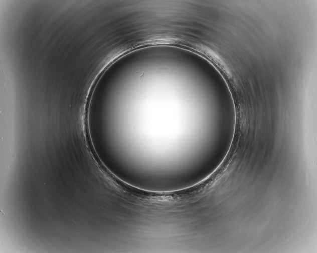 X0000093601186200710151215