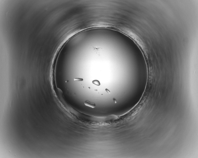X0000093601187200710151215