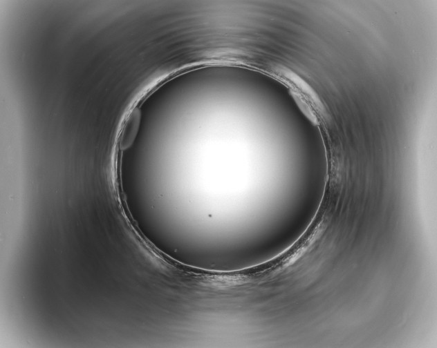 X0000093601196200710151215