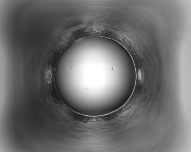 X0000093601203200710151215