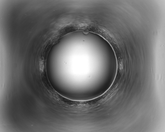 X0000093601204200710151215