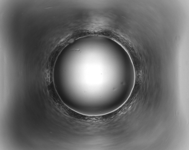 X0000093601205200710151215