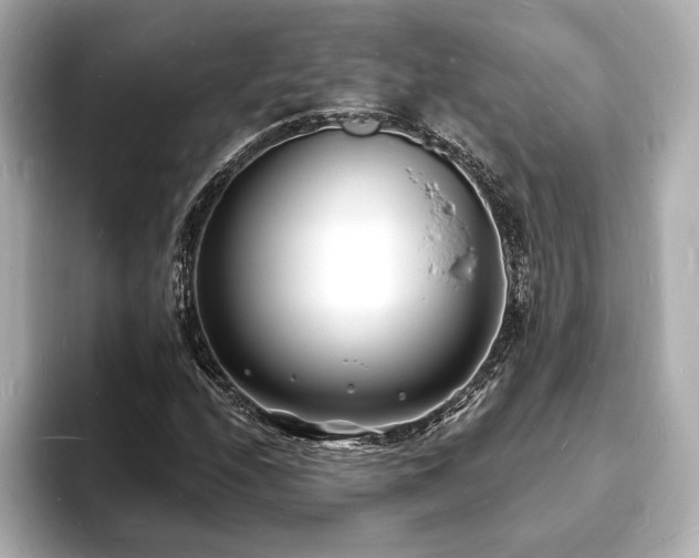 X0000093601208200710151215