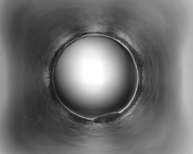 X0000093601213200710151215
