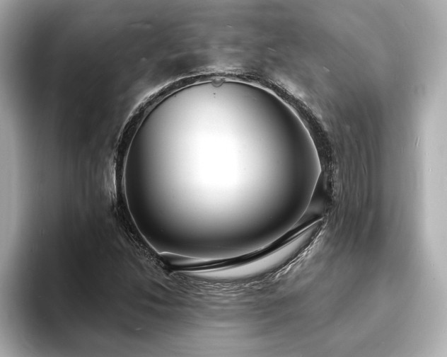 X0000093601214200710151215