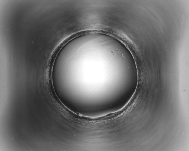 X0000093601216200710151215