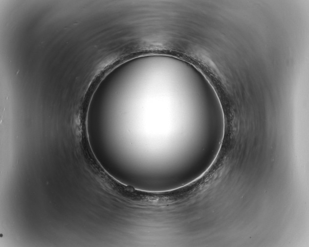X0000093601218200710151215