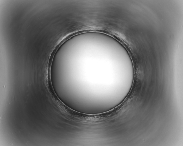 X0000093601220200710151215