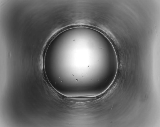 X0000093601224200710151215