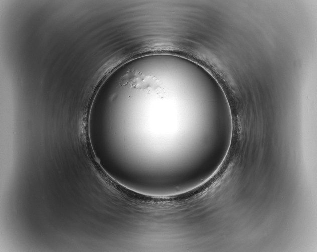 X0000093601225200710151215