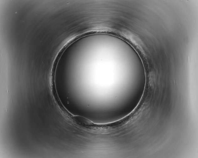 X0000093601229200710151215