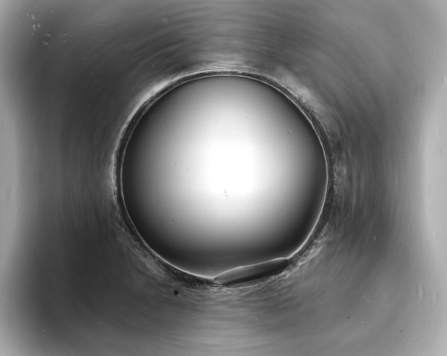 X0000093601230200710151215