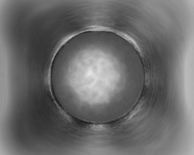 X0000093601231200710151215