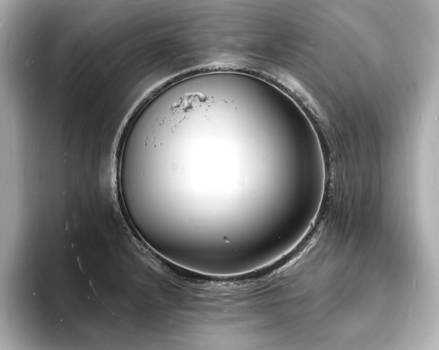 X0000093601232200710151215