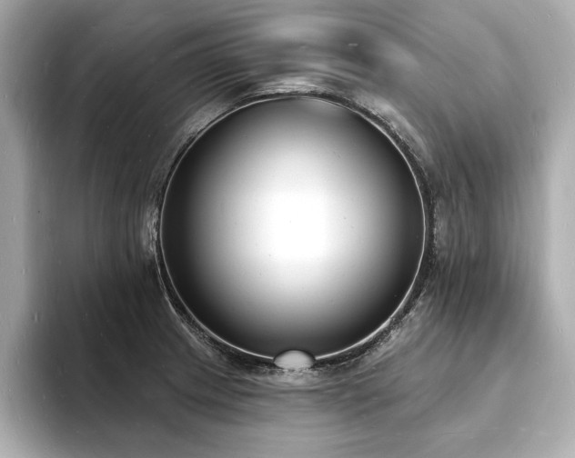 X0000093601233200710151215