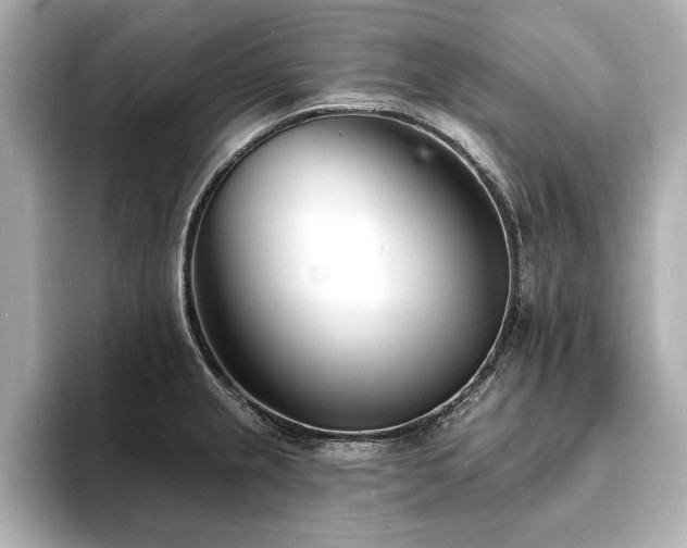 X0000093601237200710151215