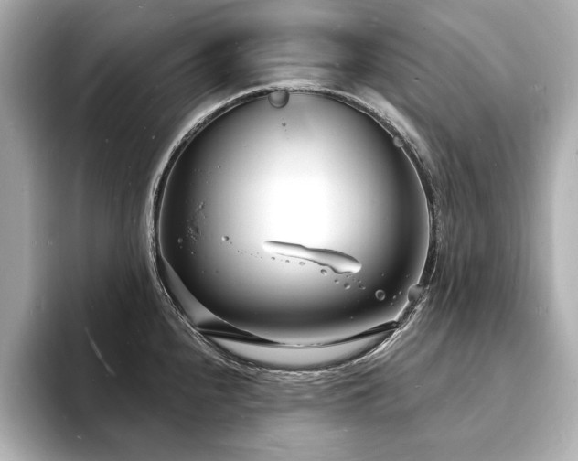 X0000093601240200710151215