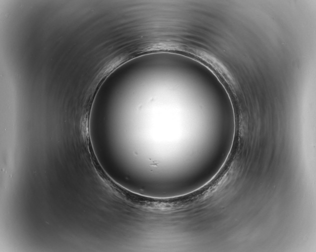 X0000093601241200710151215