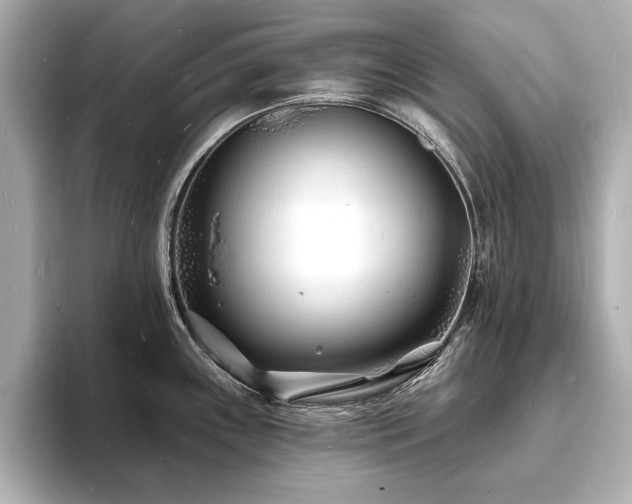 X0000093601243200710151215