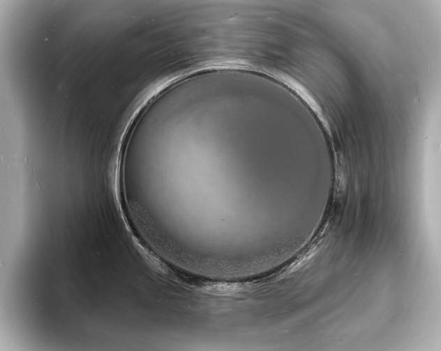 X0000093601245200710151215