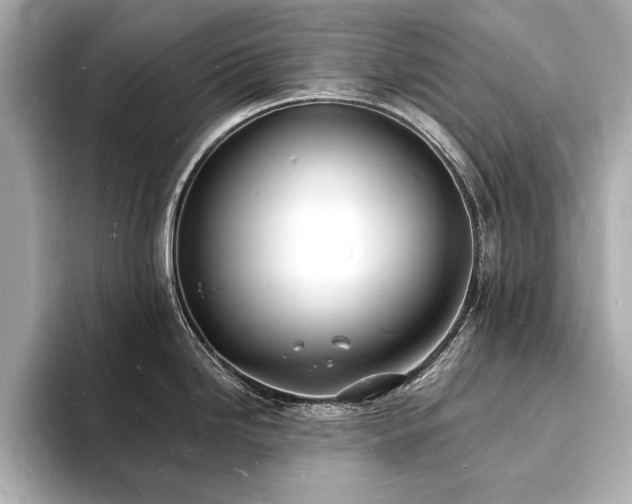 X0000093601246200710151215