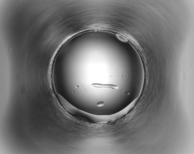 X0000093601248200710151215