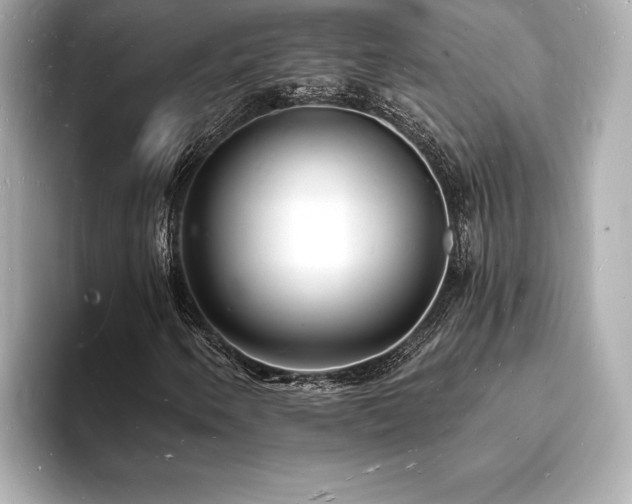 X0000093601250200710151215