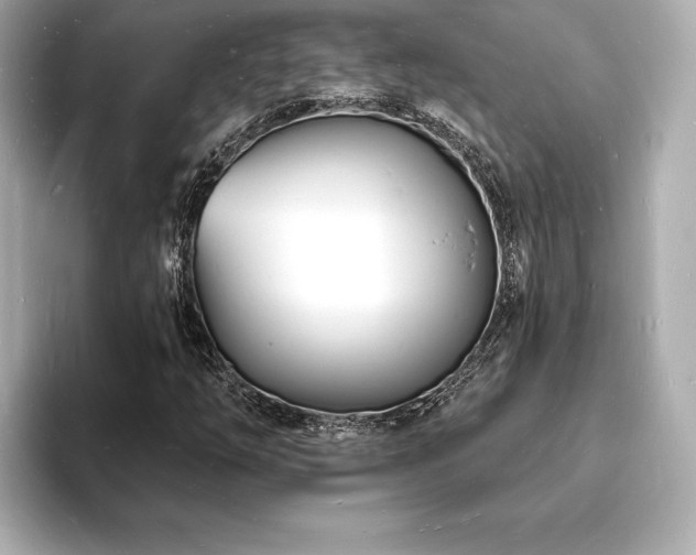 X0000093601254200710151214