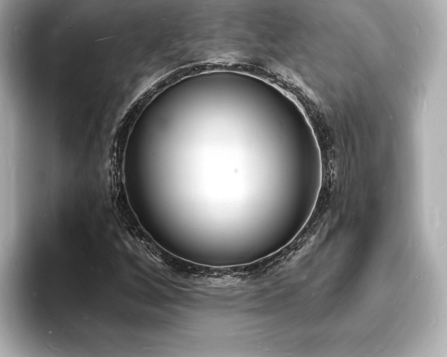 X0000093601256200710151214