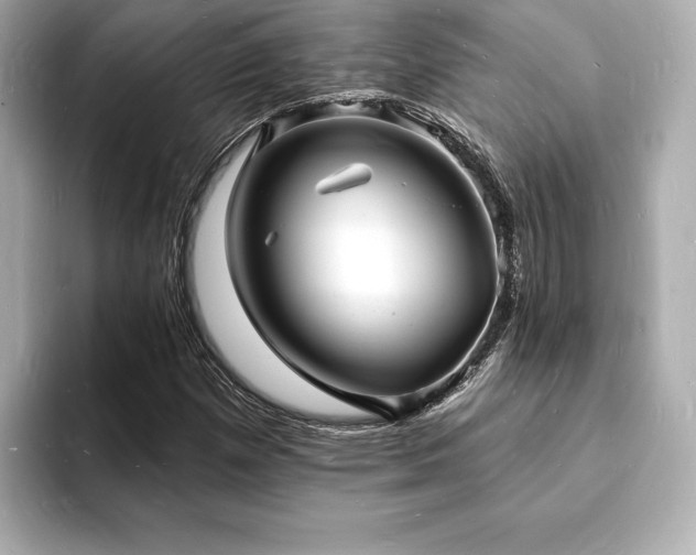 X0000093601257200710151214