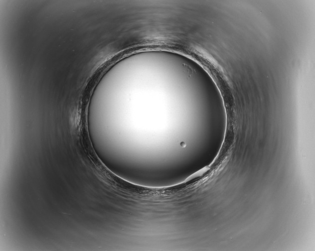 X0000093601259200710151214