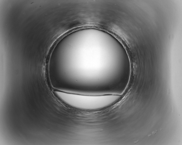 X0000093601260200710151214