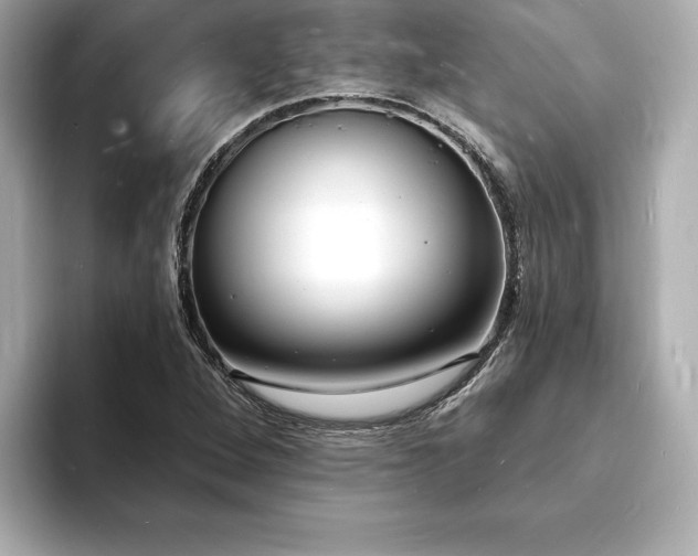 X0000093601264200710151214