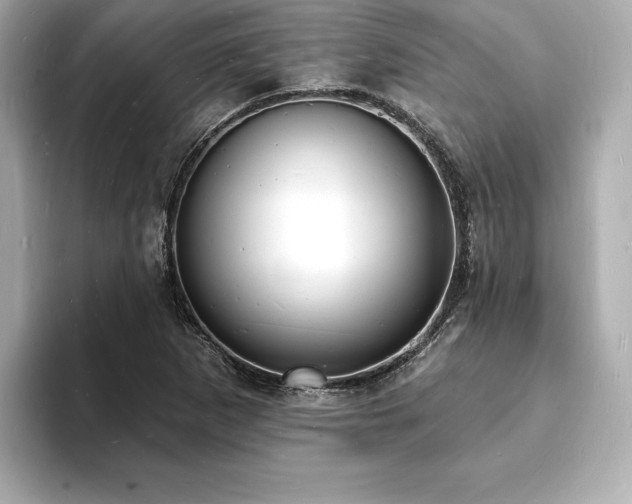 X0000093601265200710151214