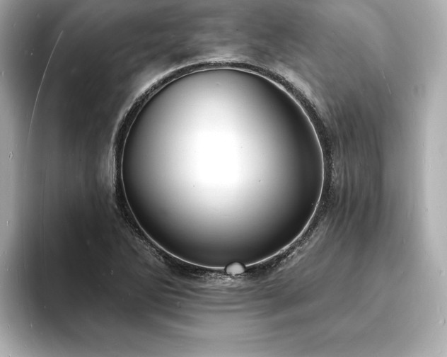 X0000093601270200710151214