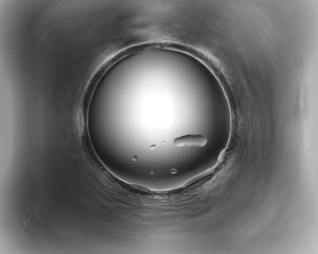 X0000093601271200710151214