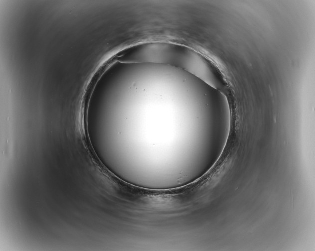 X0000093601272200710151214