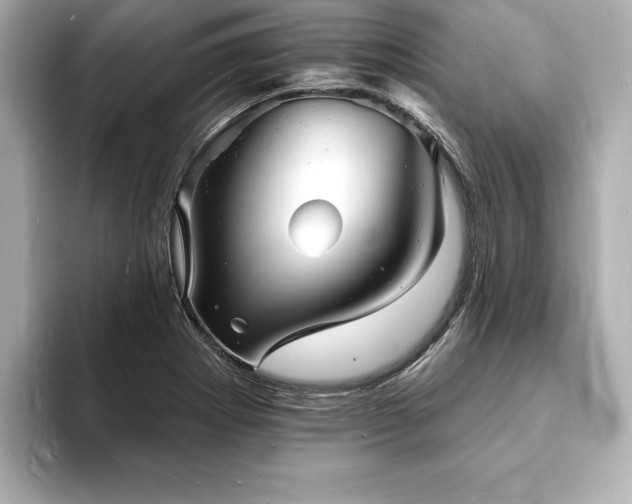 X0000093601273200710151214