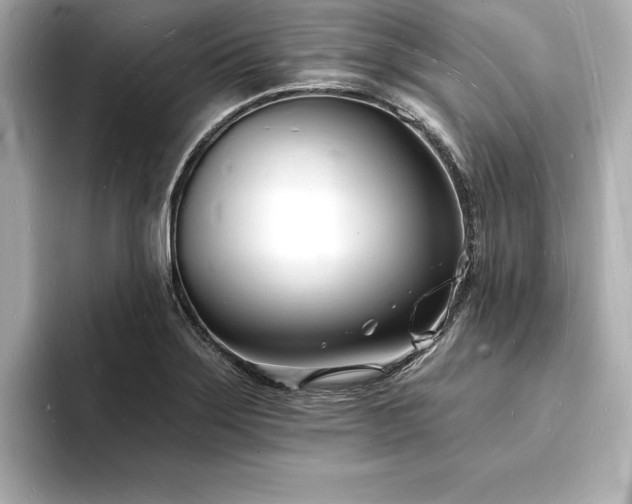 X0000093601275200710151214