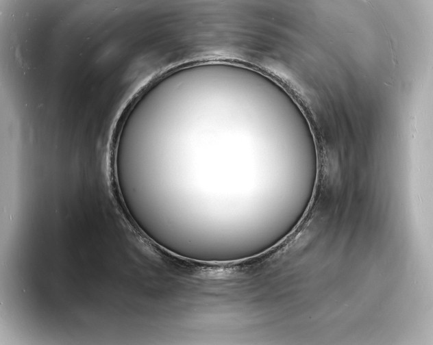 X0000093601278200710151214