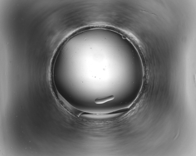 X0000093601279200710151214