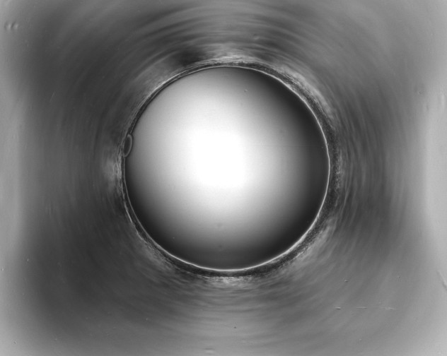 X0000093601281200710151214