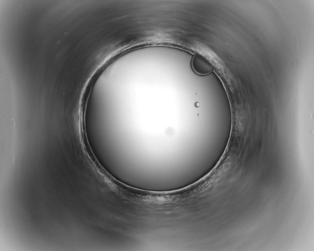 X0000093601286200710151214