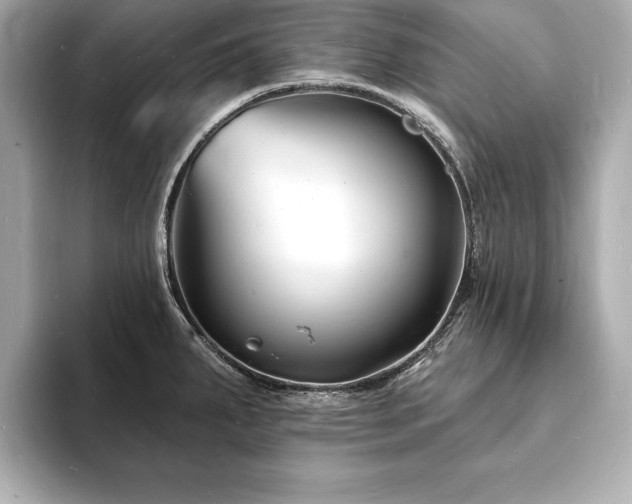X0000093601287200710151214