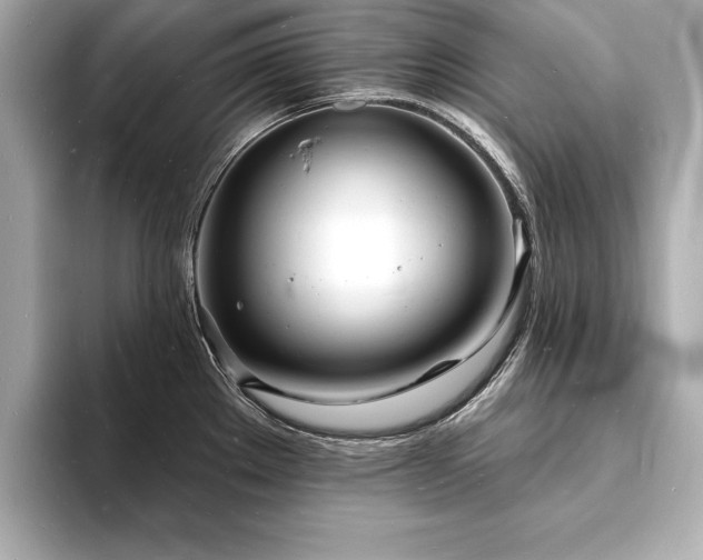 X0000093601289200710151214