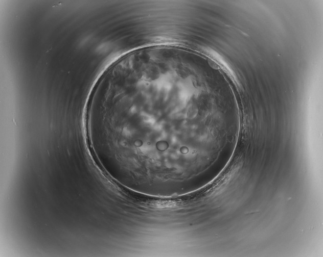 X0000093601291200710151214