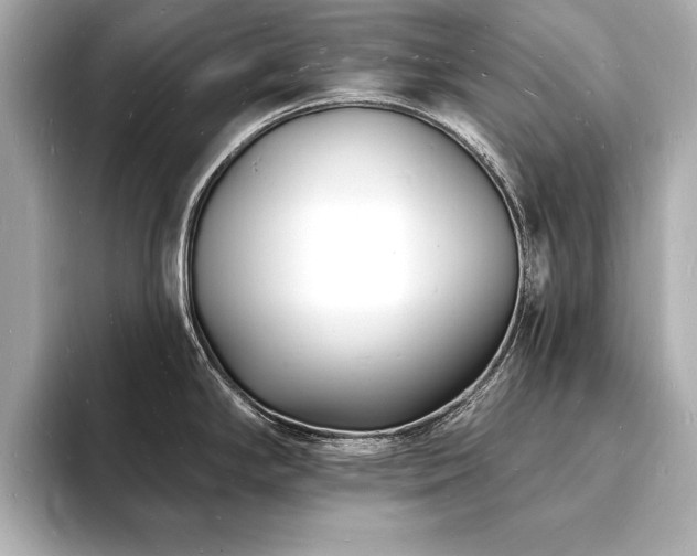 X0000093601294200710151214