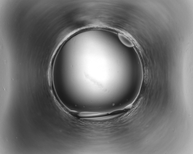 X0000093601295200710151214